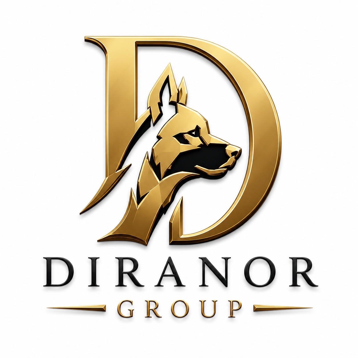 Diranor Group official logo